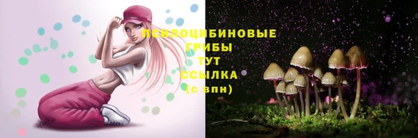 таблы Верхний Тагил