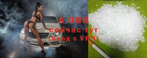 тгк Верея