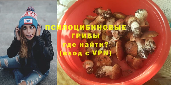 тгк Верея