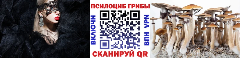 Купить  Горбатов  Псилоцибиновые грибы ЛСД 